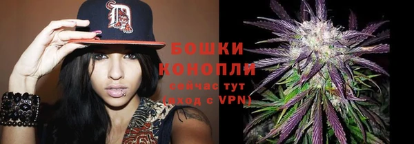 соль ск Богданович