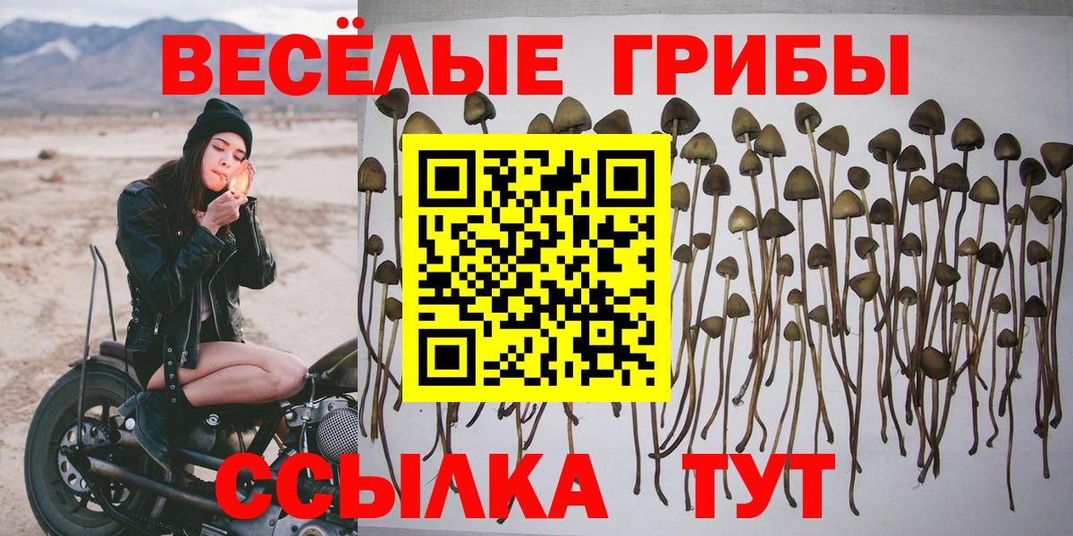 продажа наркотиков  Псилоцибиновые грибы мицелий  Маркс  Галлюциногенные грибы MAGIC MUSHROOMS 