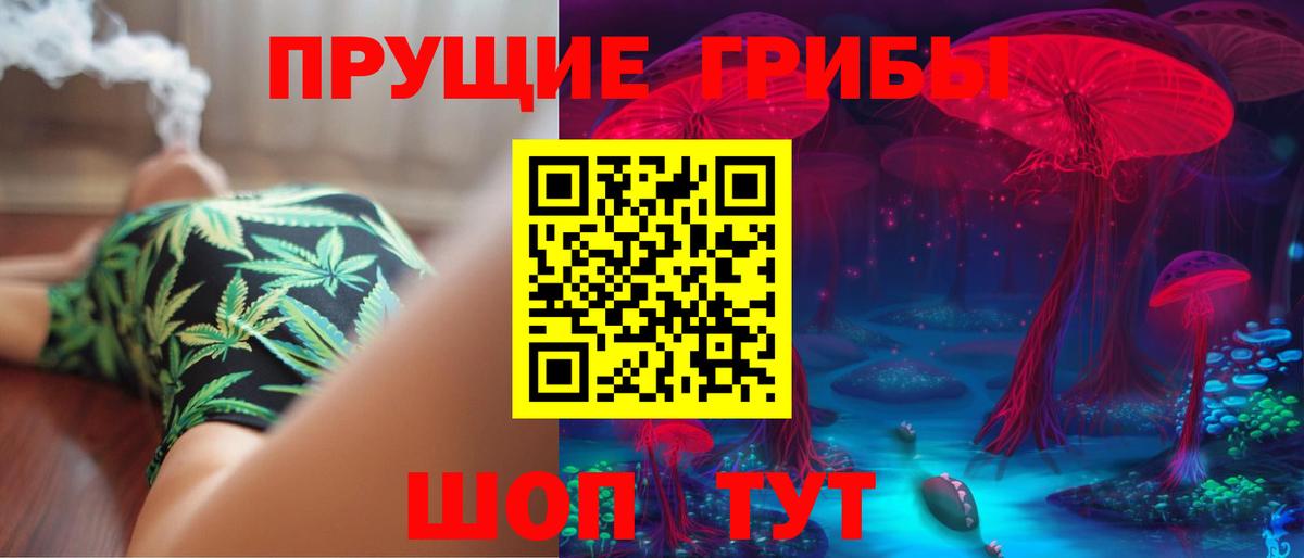 Псилоцибиновые грибы Cubensis Маркс