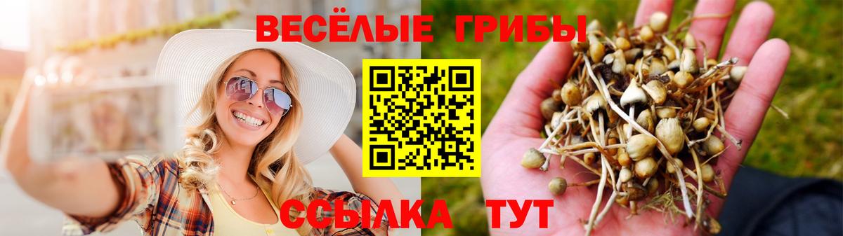Галлюциногенные грибы прущие грибы  Вход с VPN  Галлюциногенные грибы Magic Shrooms  Маркс 